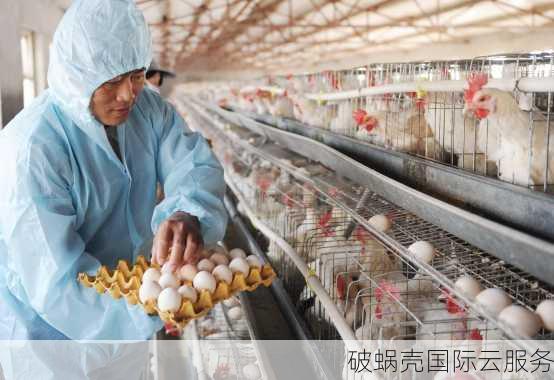 破蜗壳- 香港服务器、海外服务器、高防云服务器云计算服务商！