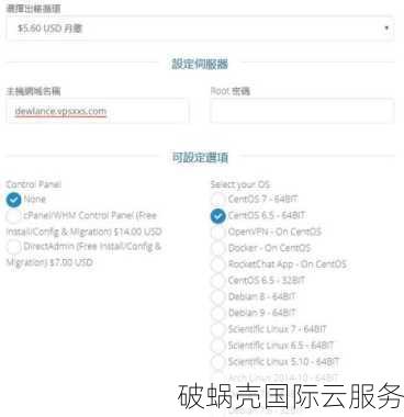 DesiVPS：提供高性能KVM VPS与专用服务器的印度孟买企业
