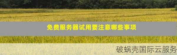 蘑菇家独立服务器优惠再度开启！五折价格抢购不停！