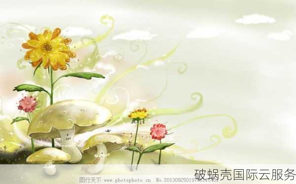蘑菇主机，独立AS号服务器服务，提供BGP和CN2网络选项