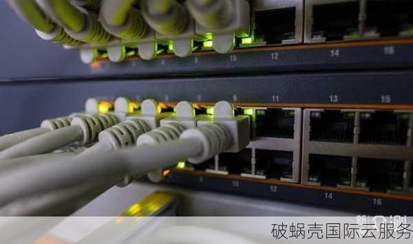 微基主机：性价比之争！美国VPS大比拼，你更看好哪个？