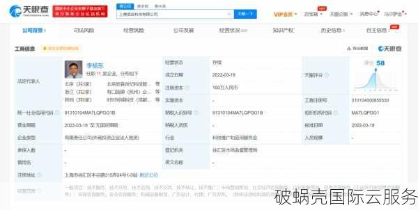 2020年低端VPS大揭秘！国内外商家差异大