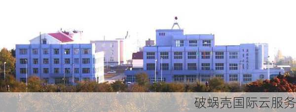 互盟云：2021元旦嘉年华大放价，国内云服务器低至18元/月