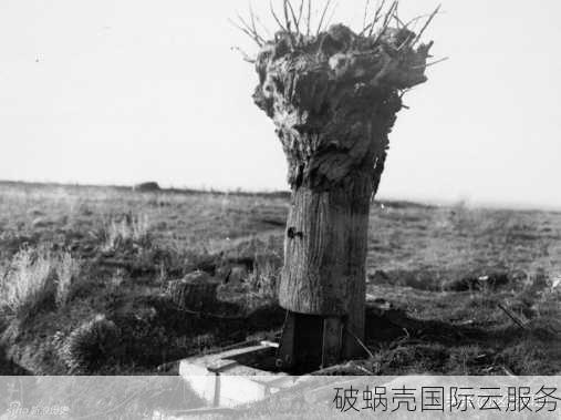9.6元起，AMD CPU高性能VPS火爆抢购中