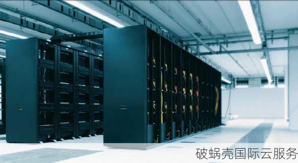 racknerd独家揭秘：黑五特价KVM VPS大放送，多数据中心任你选
