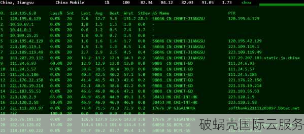 日本大带宽独立服务器，中国直连需求者必看