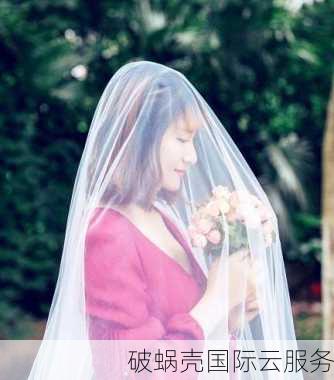 中文域名注册的热潮：244万个中文域名横空出世，价格飙升