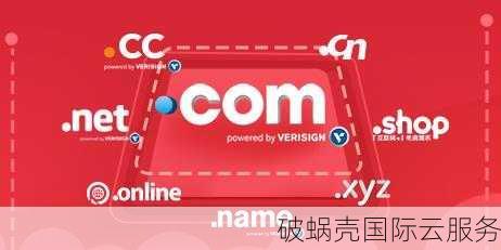 VIP域名：身份象征还是商业机会？