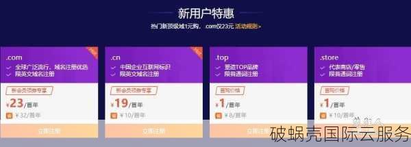 域名续费费用解析：购买后需要多少钱？如何续费？
