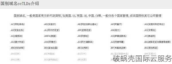 越南域名.vn：购买.vn域名的优势与考虑