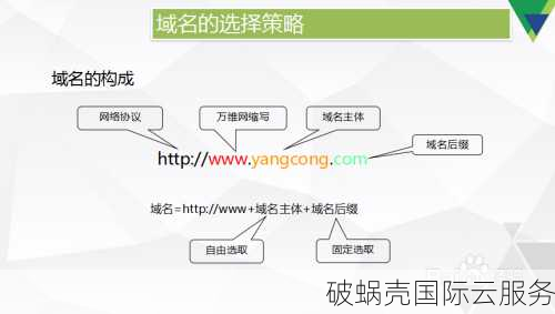 如何选择域名注册组织？注册流程及注意事项详解