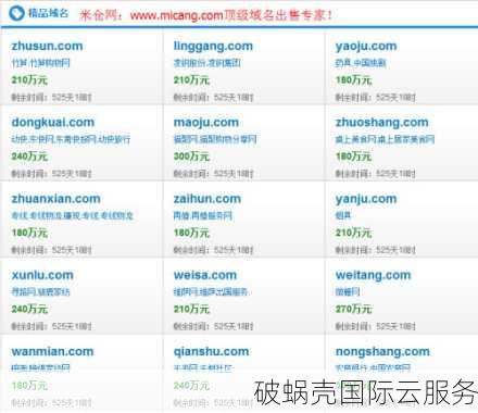 为什么续费域名费用较高？购买和续费的价格差异解析