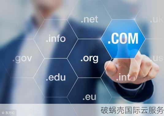 新手站长必读：购买旧域名的利与弊，如何正确选择
