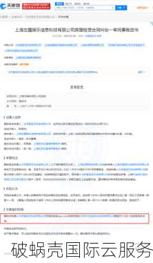 中文域名市场崛起：新中文通用顶级域名的挑战与机遇