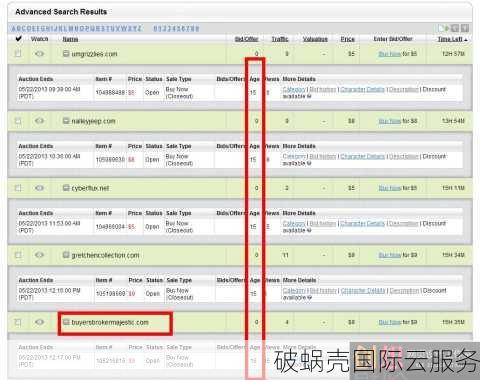 溢价域名是什么？如何购买溢价域名？溢价域名的价值解析