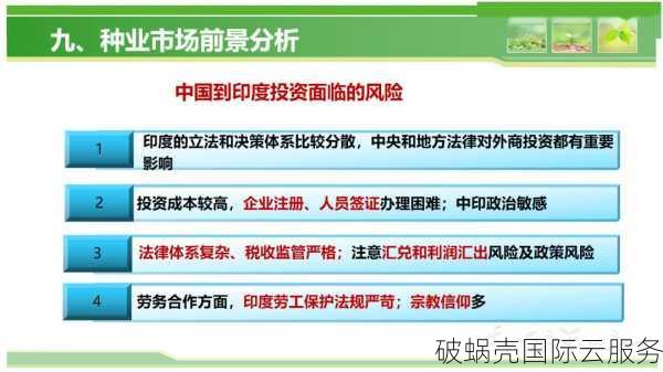探索国际域名的起源和分类：从.com到.edu的全面解析