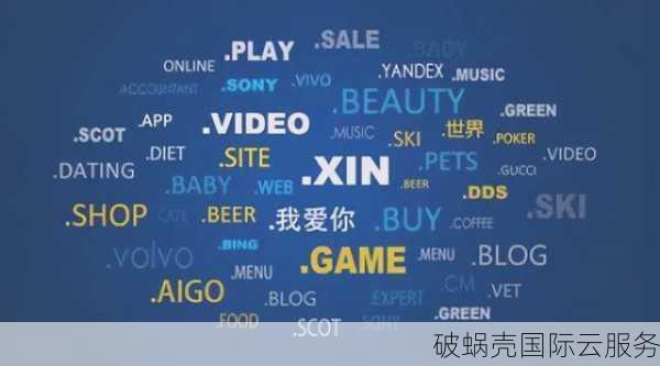 企业域名保护指南：长远策略与解决争议的最佳实践
