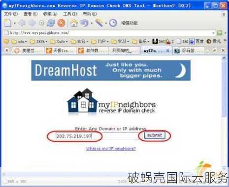如何选择域名并利用其建立个性化网站：从品牌特色到商业内容的完美契合