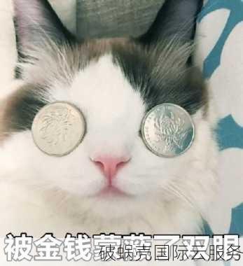 域名变更操作指南：理解域名持有人变更与注册机构变更所需资料