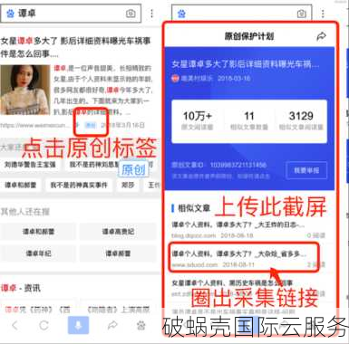 如何选择和优化网站域名？专家预测我国网民数量将继续增长