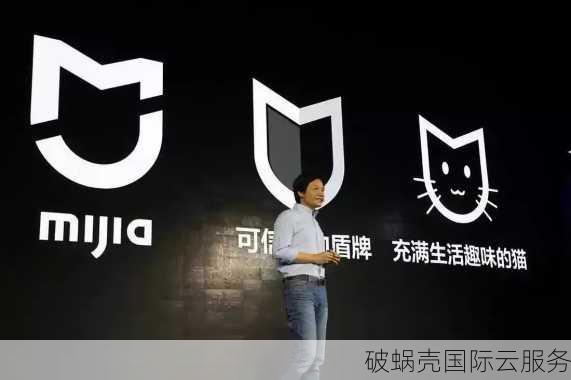 为什么你的应用需要一个域名？域名在现代互联网上的重要性解析