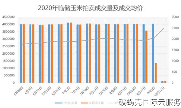 如何选择有价值的域名及投资策略分享：域名投资指南