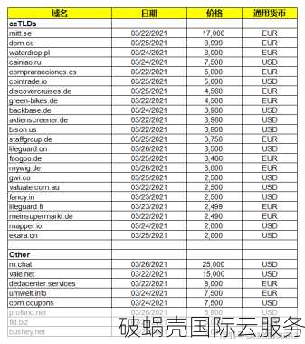域名vip的意义和价值：究竟有多大？为何成为顶级域名之选？